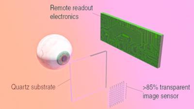 研究人员使用石墨烯和量子点设计用于眼动追踪应用的半透明图像传感器